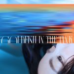 【派歌新發行】薛詒丹《孤獨金魚圖鑑》,八首歌曲、八缸情緒,描繪關於孤獨、愛與渴望的情感故事